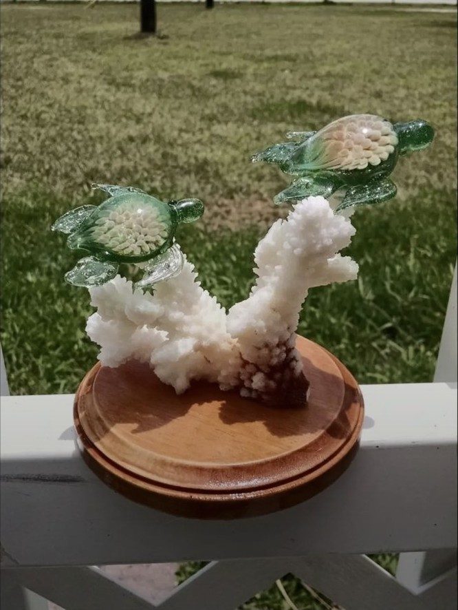 Two borosilicate glass turtles mounted on white coral by Jose Valdes