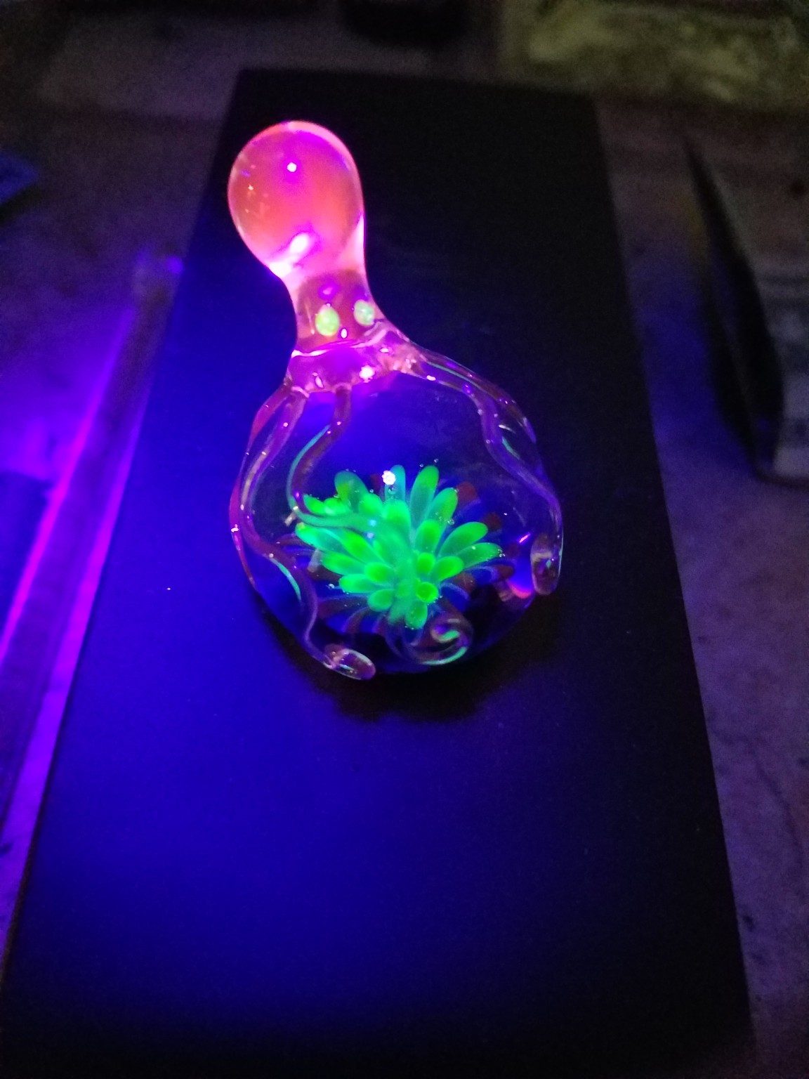 Borosilicate glass work by Jose Valdes