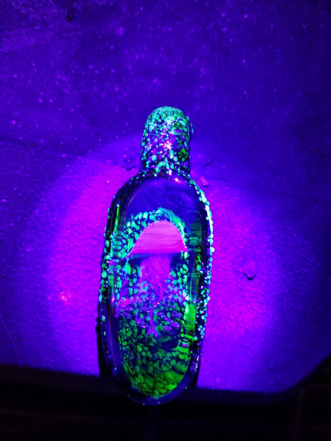 Borosilicate glass work by Jose Valdes